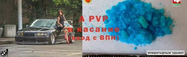 хмурый Новозыбков