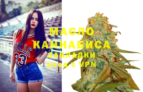 хмурый Новозыбков