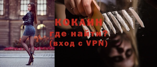 хмурый Новозыбков