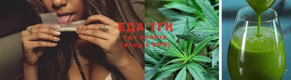хмурый Новозыбков