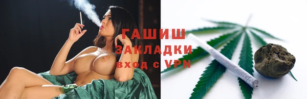 хмурый Новозыбков