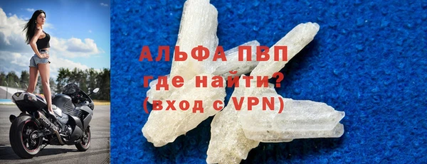 хмурый Новозыбков