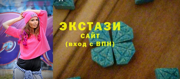 хмурый Новозыбков