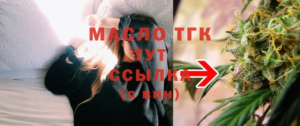 хмурый Новозыбков
